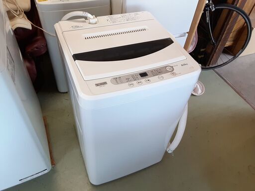 ヤマダ電機  全自動電気洗濯機 6kg 50L 2019年製 YWM-T60G1　/DJ-1052 1FO