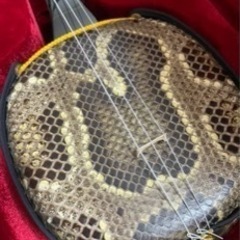 沖縄三線　初心者向けの新品未使用　本蛇皮使用