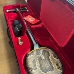沖縄三線　初心者向けの新品未使用　本蛇皮使用
