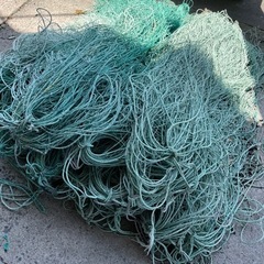 海苔網　