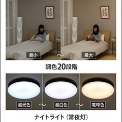 決まりました/シーリングファンライト