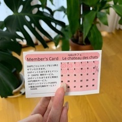 〜ドリンク(300円分)無料チケット〜　猫カフェ