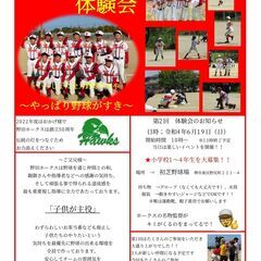 【６月19日（日）】堺市内の少年野球　野田ホークス　体験会