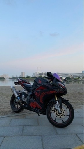 CBR250RR MC51 カスタム多数