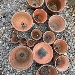 陶器製の植木鉢※決定