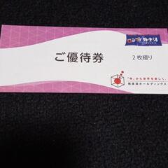 【ネット決済・配送可】極楽湯　株主優待チケット(2枚+ドリンク券)