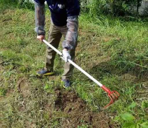 日曜日限定 雑草抜き 庭木の剪定 Ituki 東所沢の手伝いたい 助けたいの助け合い ジモティー