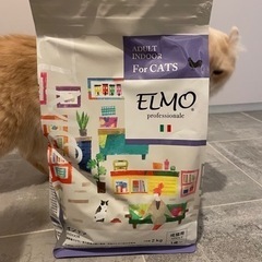 ELMO エルモ　アダルトインドア　2kg