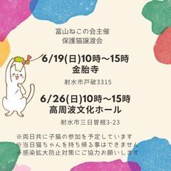 ６月１９日(日)１０時～富山ねこの会主催、保護猫譲渡会