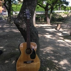 【ネット決済・配送可】モーリスアコースティックギター