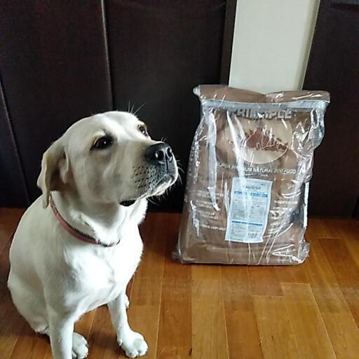 プリンシプル　パピー　18kg　子犬　エサ　フード