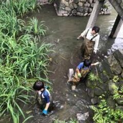笠寺観音亀池再生プロジェクト　カメの住民票調査（6/25-26） - 名古屋市