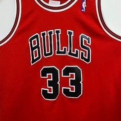 美品】BULLS
