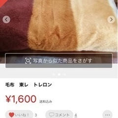 （決まりました）【あげます‼️】レトロ毛布