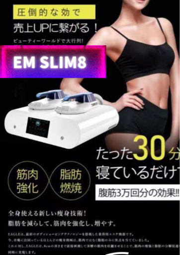 emslim8 13テラス