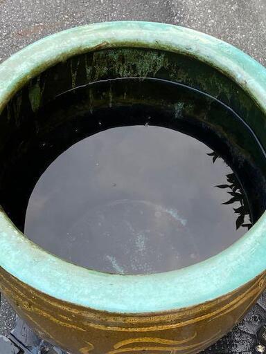 ② ピータン 甕 壺 メダカ 陶器 植物鉢 金魚鉢 メダカ
