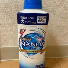 【受け渡し決定】ナノックス　大サイズ66回分　本体