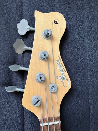 弦楽器、ギター Freedom BASS