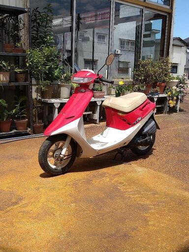 HONDA Dio af18(実働/書類つき) assurwi.ma