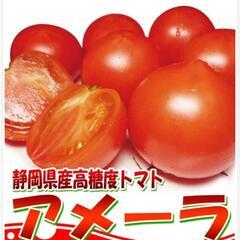 1ケース　アメーラトマト高糖度　フルーツトマト　品質鮮度抜群！