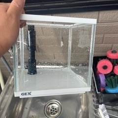 GEX  20センチキューブガラス水槽　ＯＦ加工済み「めだか用」