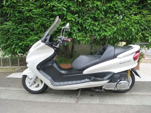 ヤマハ　マジェスティ250C(SG03J)　実働中古車(未整備)　低走行　バッテリーフル充電済み　ローダウンサス　ナンバー登録書類有り ヤマハ マジェスティ250C(SG03J) 実働中古車(未整備) 低走行