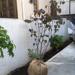 SPYAIR 8曲入りインディーズ配布CD-R SPYAIR・UZが初ソロアルバム「STATE OF RHYMES」リリース | JOYSOUND