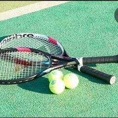 一緒に楽しく硬式テニスをやりましょう!! - スポーツ