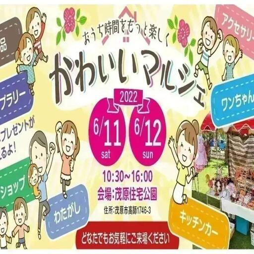 ジャンボ綿菓子in茂原市 Yamada商会 茂原のフリーマーケットのイベント参加者募集 無料掲載の掲示板 ジモティー ジャンボ綿菓子in茂原市 Yamada商会 茂原のフリーマーケットのイベント参加者募集 無料掲載の掲示板 ジモティー