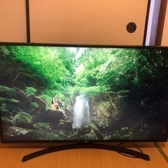 取引決定しています。49型 テレビ