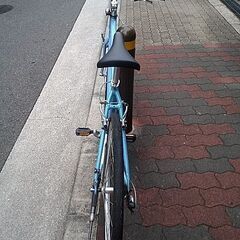 🚴ライトウェイ シェファードシティ