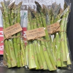 ⑤北海道　美瑛産　アスパラ　本日残り3kg 500g 700円