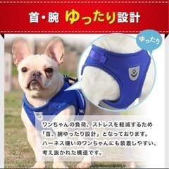 [値下げしました]犬猫用メッシュハーネス&リードセット(Lサイズ...