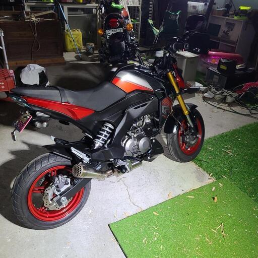 z125pro