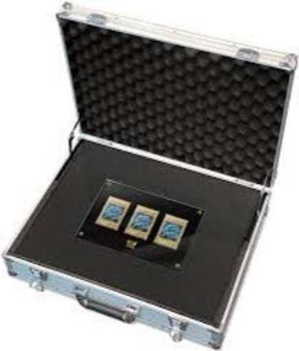 急募!早いもの勝ち! アルティメット海馬セット | noonanwaste.com