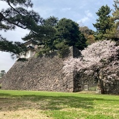 百名城 続百名城  登城仲間🏯 