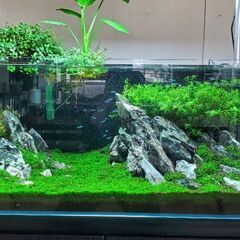 最終日】ADA 正規品 キューブガーデン90 水槽 値下げ相談あり！