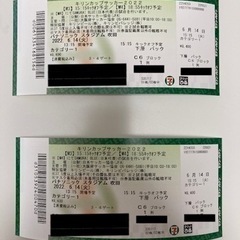 【手渡しのみ】最前列 サッカー日本代表 チケット 2枚（6/14）