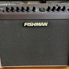 【ネット決済・配送可】FISHMAN Loudbox Mini ...