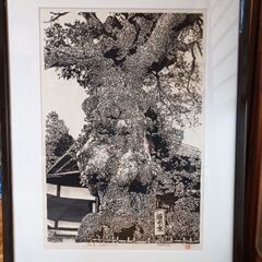 鎌倉長谷寺の椨木の版画