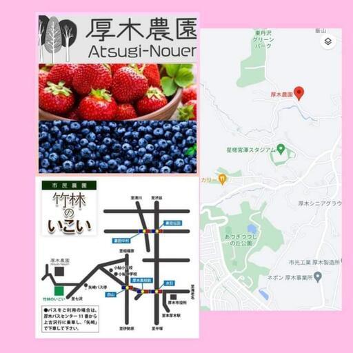 厚木農園 イチゴマルシェ開催中 セイ 香川の地域 お祭りのイベント参加者募集 無料掲載の掲示板 ジモティー