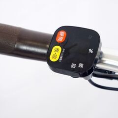 BRIDGESTONE 「ブリヂストン」 フロンティア ラクットワゴン FW0B49 2019年モデル 電動アシスト自転車