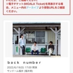 backnumber 福井サンドーム　チケット2枚
