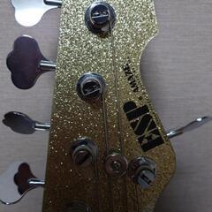 AMAZE-CTM-SL5/R CTM COLOR　5弦ベース