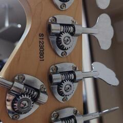 AMAZE-CTM-SL5/R CTM COLOR　5弦ベース