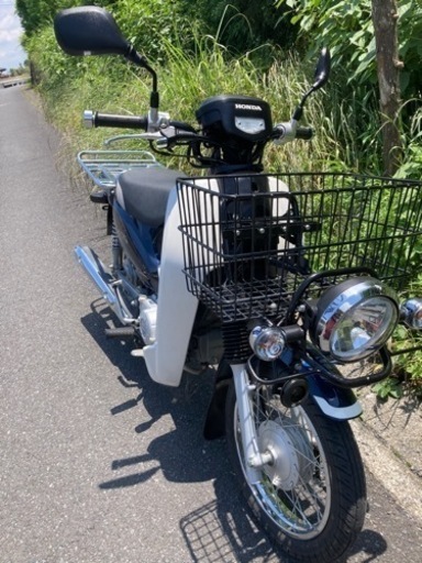カブプロ110