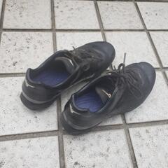 少年野球靴 スパイク 24.0センチ 黒　mizuno