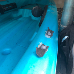 フィッシングカヤック　ペリカンカヤック　取引中に付きコメント返信しません