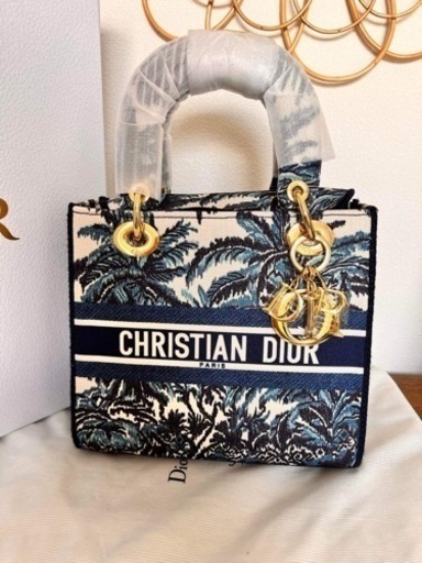 Christian Dior ハンドバッグ 新品 | noonanwaste.com