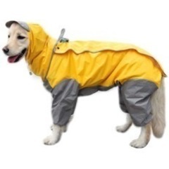 梅雨時期に活躍する犬のレインコート